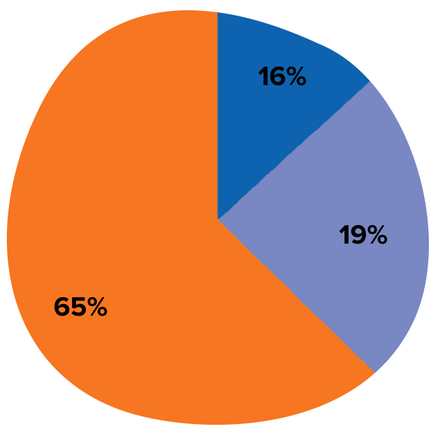 pie graph showing funds expenditure of The Song Room
